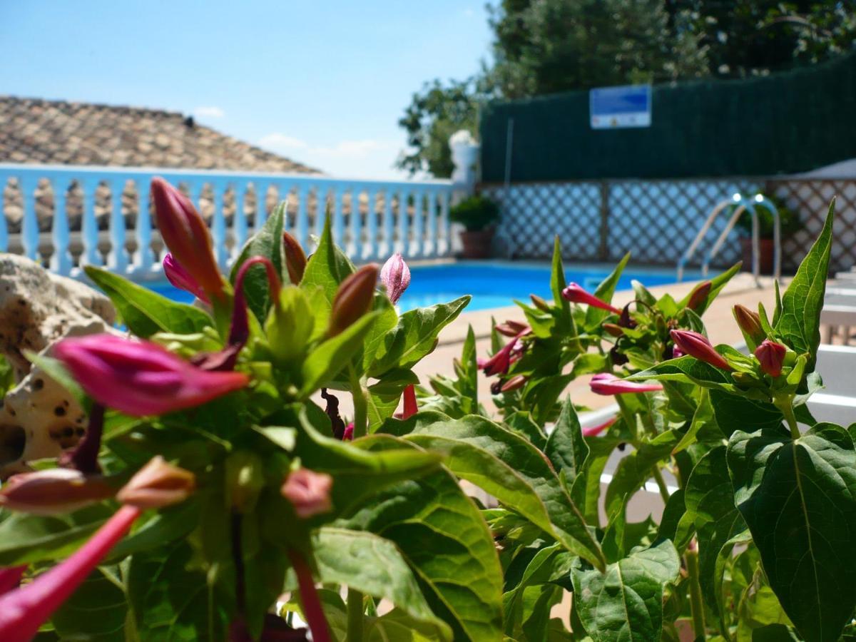 Hostal Rural Moratín Pastrana Exteriér fotografie